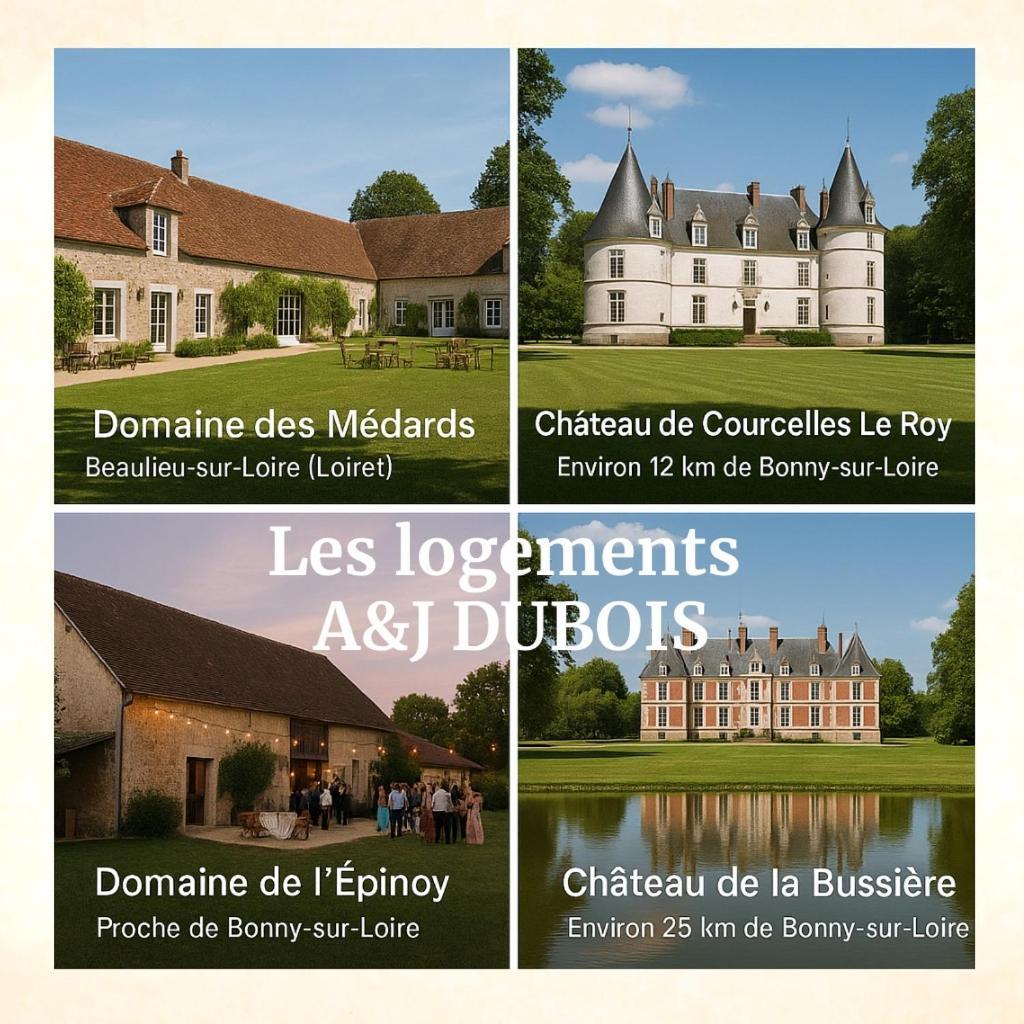A&Jduplex - Bonny Sur Loire - Chateaux De Guedelon - Pont Canal 外观 照片